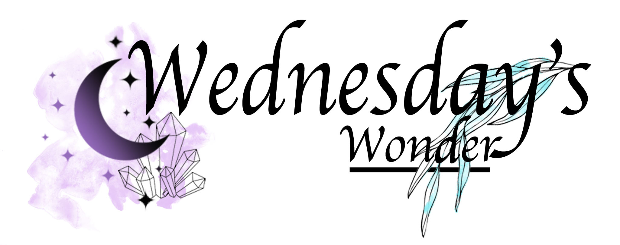 Wednesday's Wonder